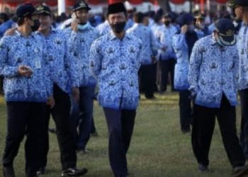 Info Gaji PNS, CPNS, Pensiunan, ASN dan Kenaikan 2025